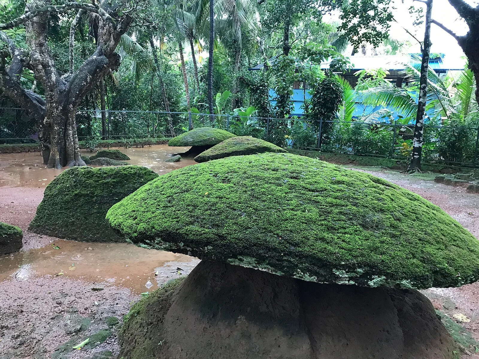 Kudakkallu Parambu - Megalithic Burial Site